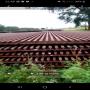 Rail d'occasion: used rail