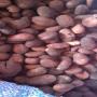 Noix de karit&eacute; en stock 