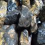 RECHERCHE DE PARTENARIAT FINANCIER POUR LE COLTAN