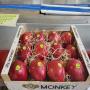 grenades fraiches 