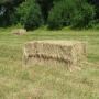 FOIN de prairies naturelles