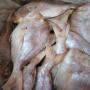 denton dorade rose points bleus Pagrus caeruleost