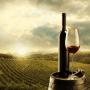 DESTOCKAGE DE VINS FRANCAIS DE QUALITE