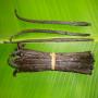 Supplier of Best quality vanilla from Madagascar