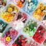 Grossiste fleurs &eacute;ternelles et s&eacute;ch&eacute;es