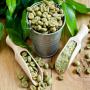 robusta coffee to sell