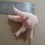 Patte de poulet Traiter et geler A+