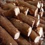 agro farine de manioc et plus 
