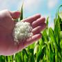 vente de fertilisant bio