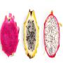 Recherche client pour Fruit du dragon / Guayaba 