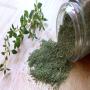 thym sauvage 