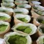 les extraits de moringa