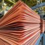 supplier search for cathode collaboration
