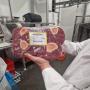 viandes halal sans électronarcose 