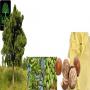 Beurre de Karit&eacute; du Burkina Faso certifi&eacute; bio 