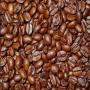 Caf&eacute; Arabica