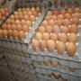 White and Brown Fresh table  eggs
