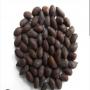 I have seed cotton and soybean for 5000 tonnes.