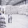 ICUMSA 45 SUGAR AVAILABLE FROM BRAZIL. 