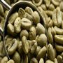 Importateur de caf&eacute; vert en grains