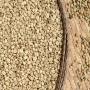 Importateur de caf&eacute; vert en grains