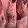 Viande-Carcasse certifi&eacute;e 