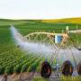 Projets agricoles