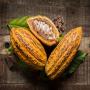 feve de cacao et grain de cafe