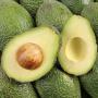 Avocat hass 