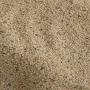 S&eacute;same grain en d&eacute;stockage 