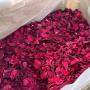 Producteur de roses grade alimentaire 