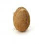 Noix de coco sec