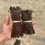 Gousse de Vanille de Madagascar 