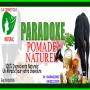 POMADE PARADOXE 