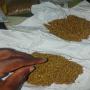 Plusieurs type de produit 