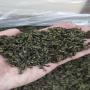 Grossiste tisane jiaogulan