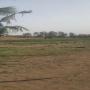 Location terrain agricole