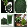 Spiruline et chlorelle certifi&eacute;es bio