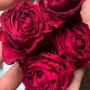 Producteur rose grade alimentaire