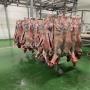 VENTE CARCASES AGNEAUX HALAL  ESPAGNE  