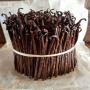 Gourmet vanilla beans from Madagascar