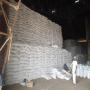 S&eacute;same Blanc nettoy&eacute; 5000 tonnes