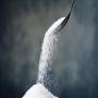 5000Mt de sucre disponible en  Europe  faite vite