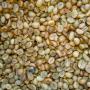 Approvisionnement fiable en caf&eacute; vert Robusta de 