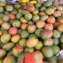 MANGUE KENT