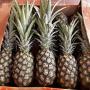 ANANAS MD2