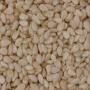 ACHAT GRAINE DE SESAME BLANC 