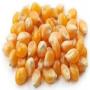 Achat de maïs jaune / yellow corn purchase