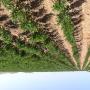 Ferme agricole moderne potentiel immense Romm