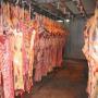 TOGO professionnel B&eacute;tail / viande